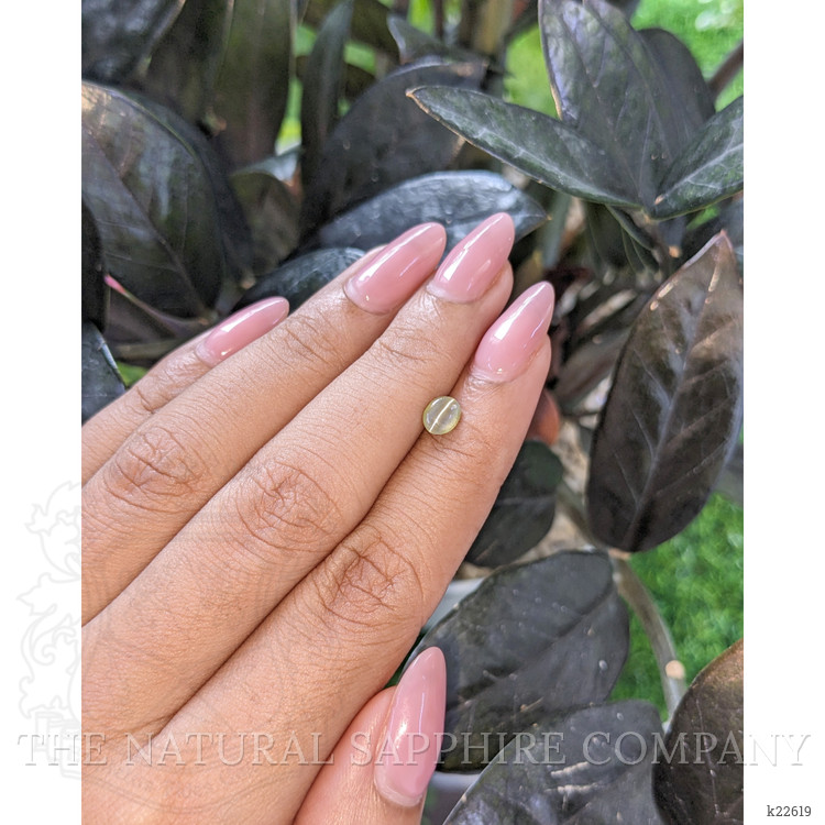 0.67 Ct. Green Cabochon Chrysoberyl from Tanzania