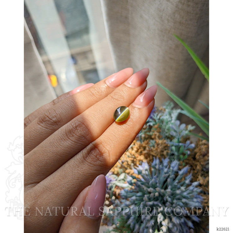 3.53 Ct. Brownish Green Cabochon Chrysoberyl from Tanzania