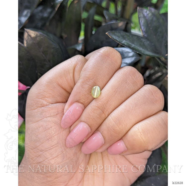 1.19 Ct. Cabochon Chrysoberyl from Tanzania
