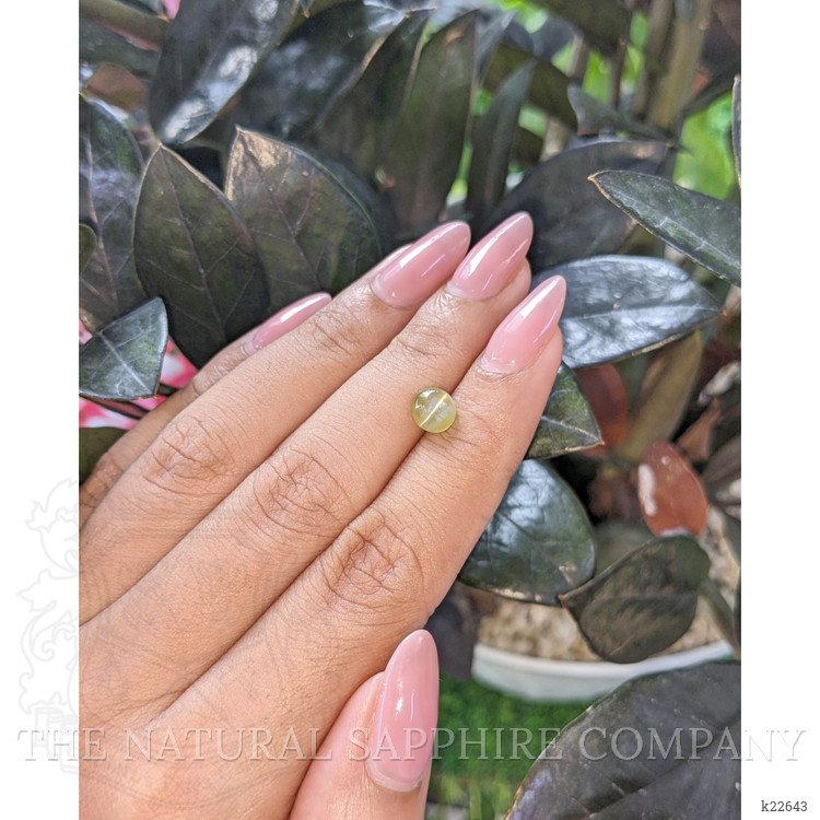 1.44 Ct. Cabochon Chrysoberyl from Tanzania