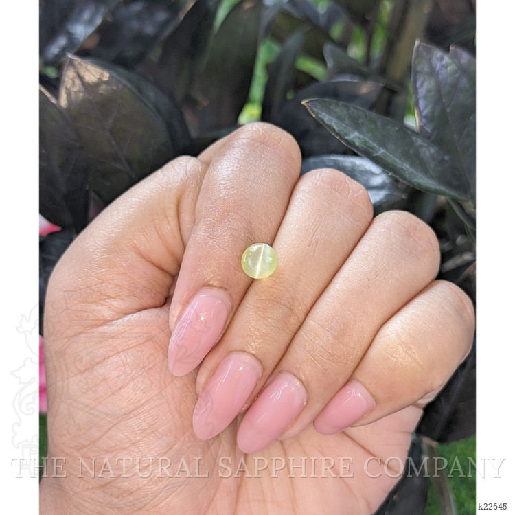 1.76 Ct. Yellowish Green Cabochon Chrysoberyl from Tanzania