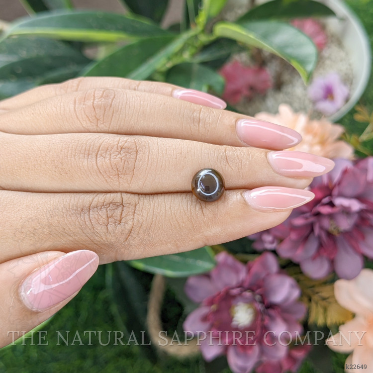 3.67 Ct. Brown Cabochon Chrysoberyl from Tanzania