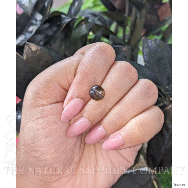 3.67 Ct. Brown Cabochon Chrysoberyl from Tanzania