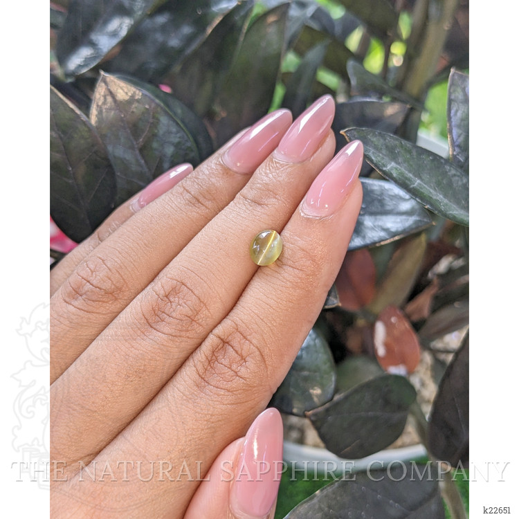 1.94 Ct. Greenish Yellow Cabochon Chrysoberyl from Tanzania