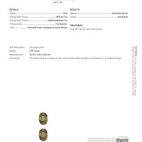 3.99 Ct. Yellowish Green to Yellowish Brown Demantoid Garnet from Namibia Scan Report