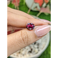 3.69 Ct. Garnet from Ceylon (Sri Lanka) Life Style
