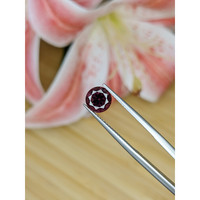 1.47 Ct. Tourmaline from Ceylon (Sri Lanka) Life Style