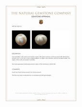 3.28 Ct. Cream with Gold Overtone South Sea Pearl from Australia Appraisal