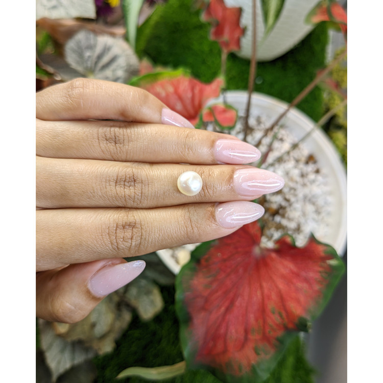 3.28 Ct. Cream with Gold Overtone South Sea Pearl from Australia