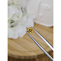 1.02 Ct. Zircon from Ceylon (Sri Lanka) Life Style