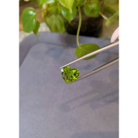 8.66 Ct. Peridot from Afghanistan Life Style