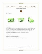 3.32 Ct. Peridot from Afghanistan Appraisal
