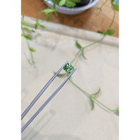 2.21 Ct. Green Tourmaline from Afghanistan Life Style