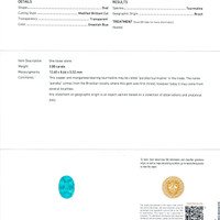 3.88 Ct. Paraiba Tourmaline from Brazil Scan Report