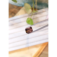 9.55 Ct. Tourmaline from Madagascar Life Style