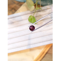 3.58 Ct. Garnet from Tanzania Life Style