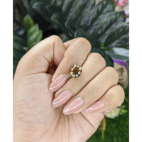 2.83 Ct. Brown Tourmaline from Ceylon (Sri Lanka) Life Style