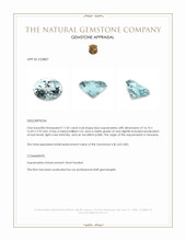 11.02 Ct. Aquamarine from Tanzania Appraisal