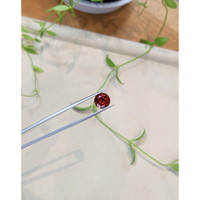 4.55 Ct. Garnet from Tanzania Life Style