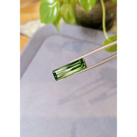 9.12 Ct. Tourmaline from Mozambique Life Style
