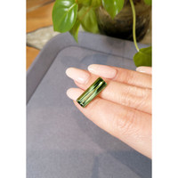 9.12 Ct. Tourmaline from Mozambique Life Style