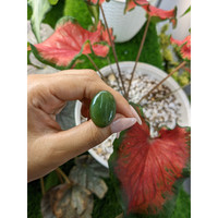 20.38 Ct. Cabochon Jade from Burma (Myanmar) Life Style