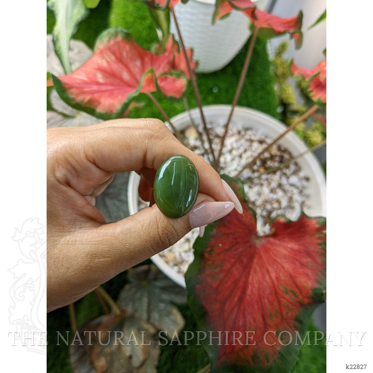 20.38 Ct. Cabochon Jade from Burma (Myanmar)
