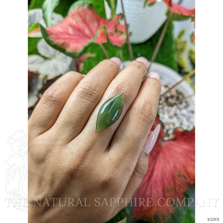 9.93 Ct. Cabochon Jade from Burma (Myanmar)