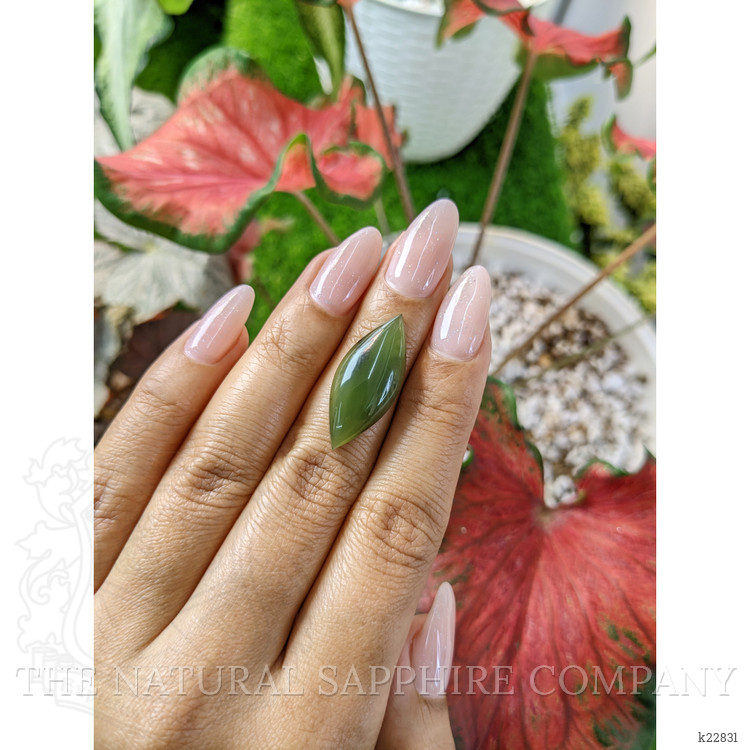 9.93 Ct. Cabochon Jade from Burma (Myanmar)