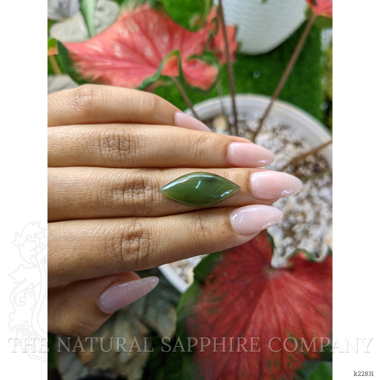 9.93 Ct. Cabochon Jade from Burma (Myanmar)