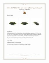 9.03 Ct. Green Cabochon Jade from Burma (Myanmar) Appraisal