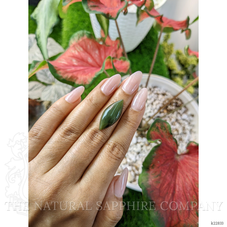 9.03 Ct. Cabochon Jade from Burma (Myanmar)