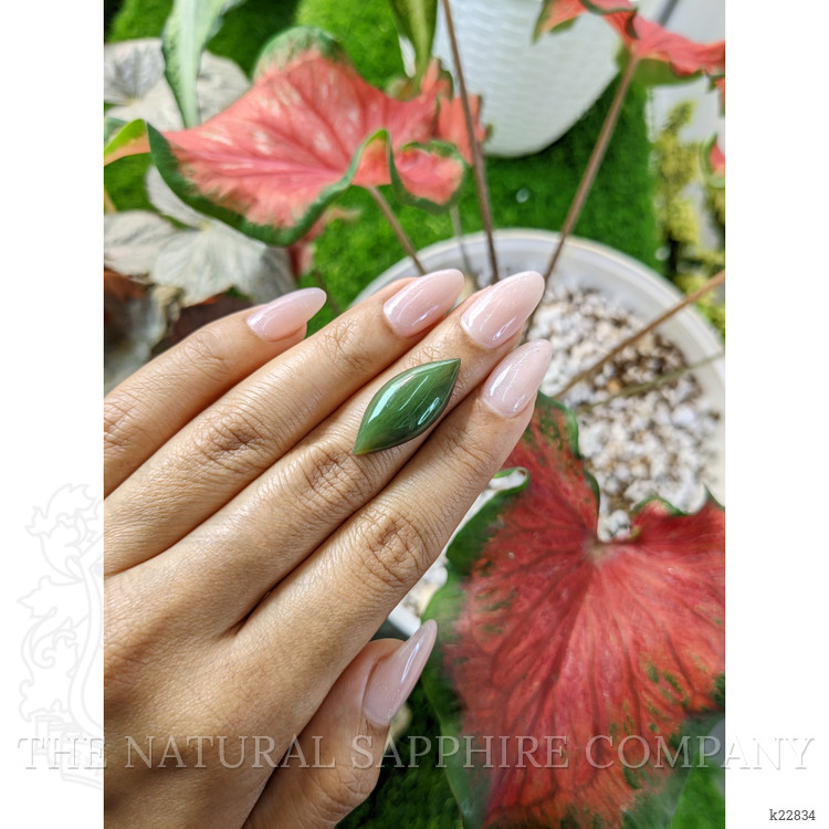 9.65 Ct. Cabochon Jade from Burma (Myanmar)