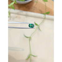 1.46 Ct. Bluish Green Topaz from Brazil Life Style