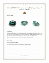 1.63 Ct. Bluish Green Topaz from Brazil Appraisal