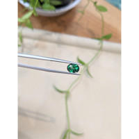 1.63 Ct. Bluish Green Topaz from Brazil Life Style