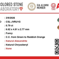 Jewelry Scan Report