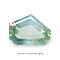 0.79 Ct. Alexandrite from Ceylon (Sri Lanka) Video