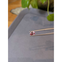 1.06 Ct. Reddish Pink Garnet from Ceylon (Sri Lanka) Life Style