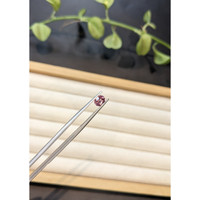 0.68 Ct. Reddish Pink Garnet from Ceylon (Sri Lanka) Life Style