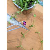 1.93 Ct. Purplish Pink Garnet from Ceylon (Sri Lanka) Life Style