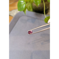 1.00 Ct. Reddish Pink Garnet from Ceylon (Sri Lanka) Life Style