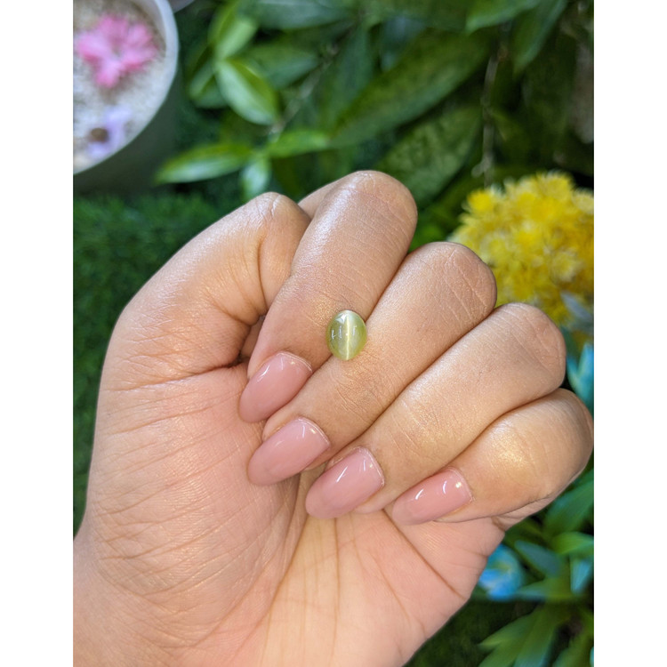 2.62 Ct. Greenish Yellow Cabochon Chrysoberyl from Tanzania