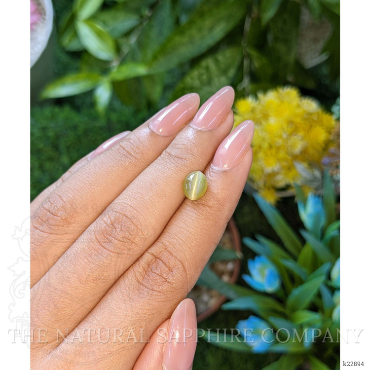 2.62 Ct. Greenish Yellow Cabochon Chrysoberyl from Tanzania