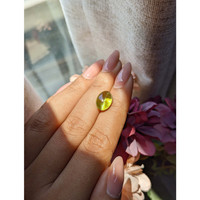 7.16 Ct. Yellowish Green Cabochon Chrysoberyl from Ceylon (Sri Lanka) Life Style