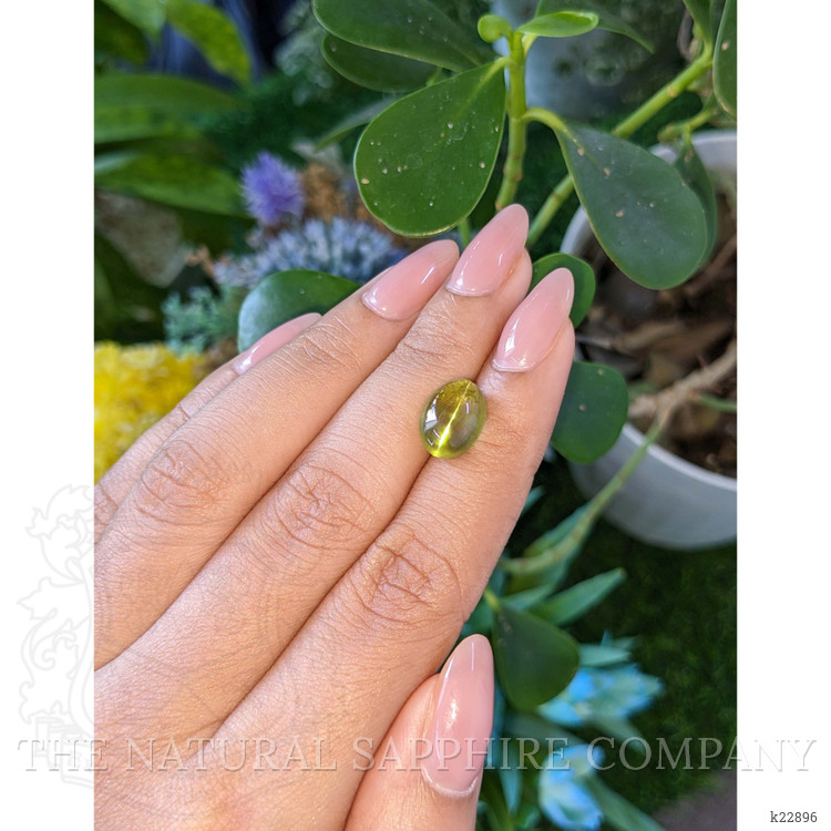 7.16 Ct. Yellowish Green Cabochon Chrysoberyl from Ceylon (Sri Lanka)