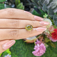 7.16 Ct. Yellowish Green Cabochon Chrysoberyl from Ceylon (Sri Lanka) Life Style