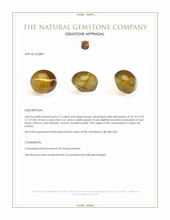 6.77 Ct. Brown Cabochon Chrysoberyl from Ceylon (Sri Lanka) Appraisal