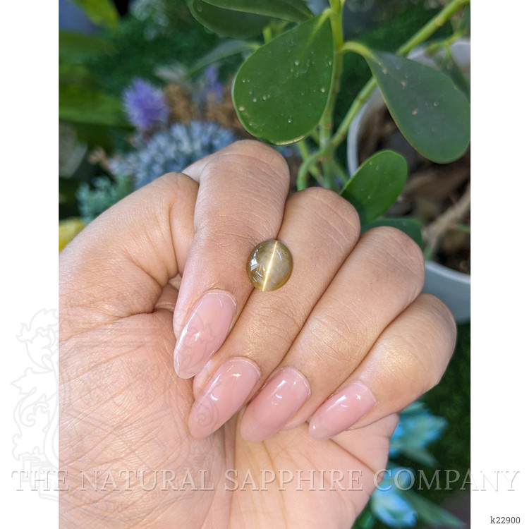4.51 Ct. Brown Cabochon Chrysoberyl from Tanzania