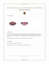 0.74 Ct. Red Garnet from Ceylon (Sri Lanka) Appraisal